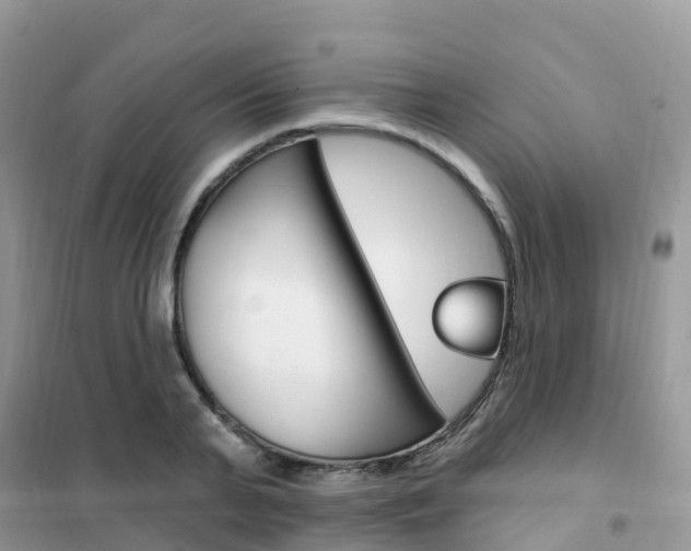 X0000102360791200808010958