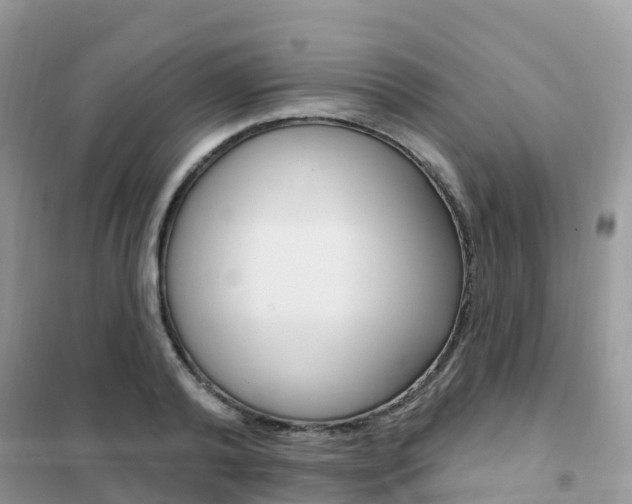 X0000102360792200808010958
