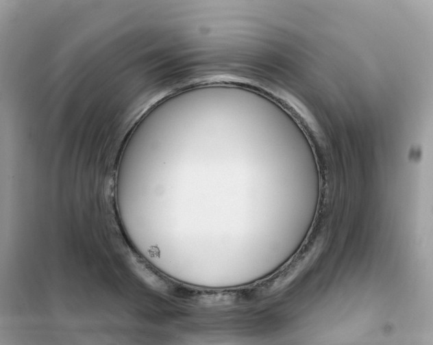 X0000102360793200808010958