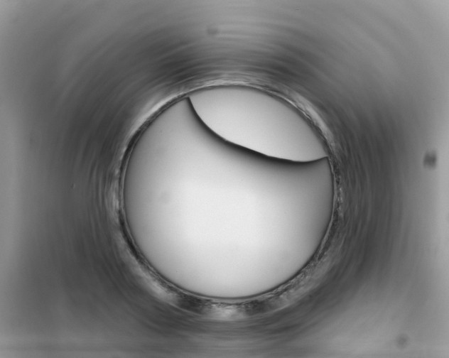X0000102360794200808010958