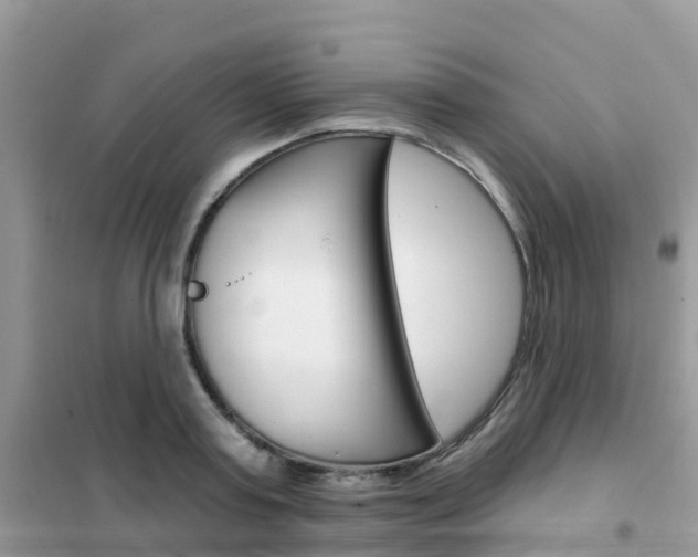 X0000102360795200808010958