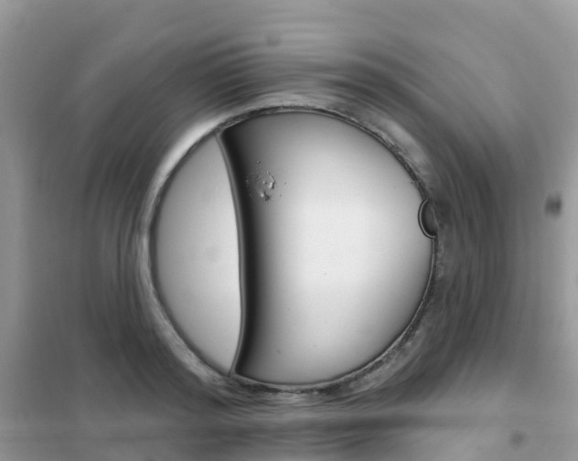 X0000102360796200808010958
