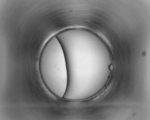 X0000102360797200808010958