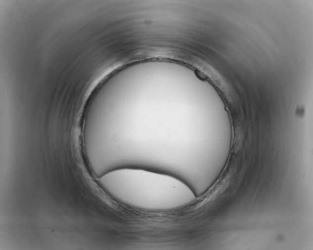 X0000102360798200808010958