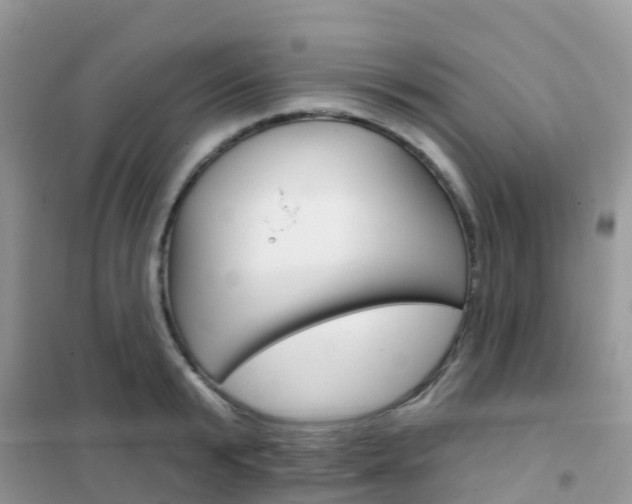 X0000102360799200808010958