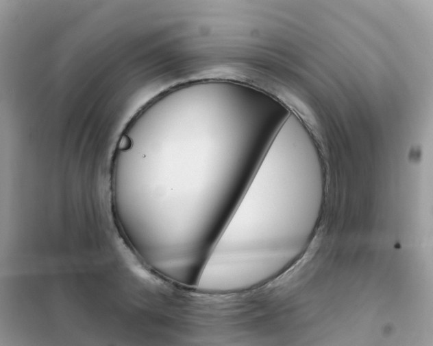 X0000102360800200808010958