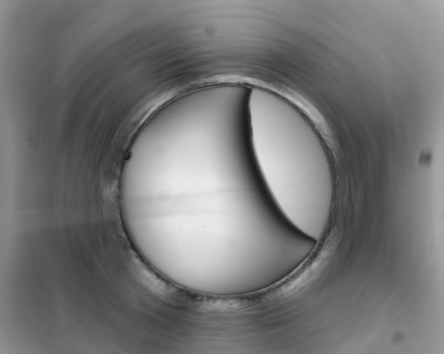 X0000102360801200808010958