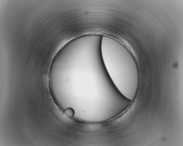 X0000102360802200808010958