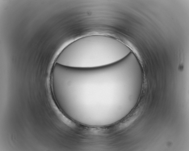 X0000102360803200808010958