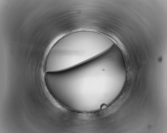 X0000102360804200808010958