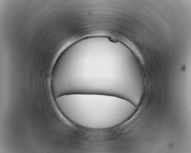 X0000102360805200808010958