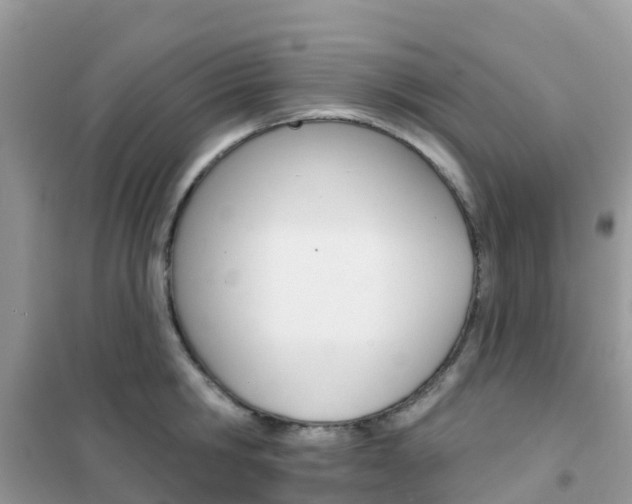 X0000102360806200808010958