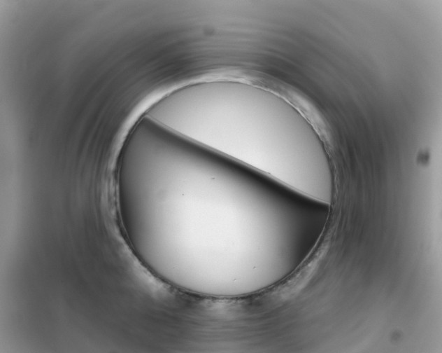 X0000102360808200808010958