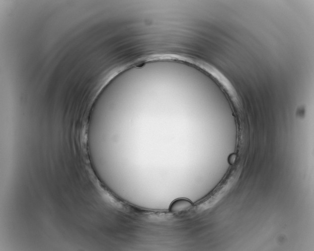 X0000102360809200808010958