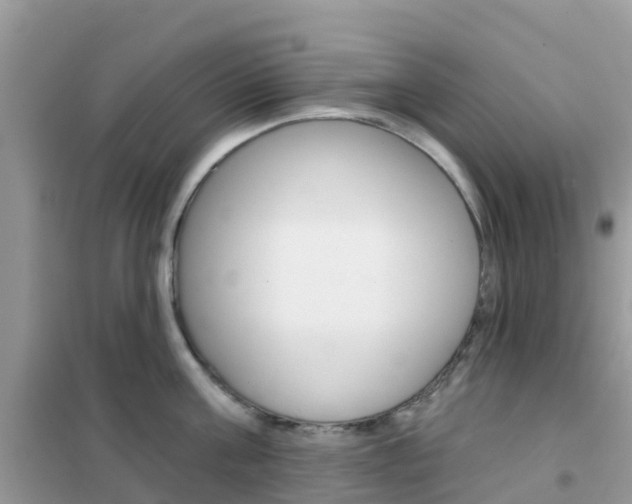 X0000102360811200808010958