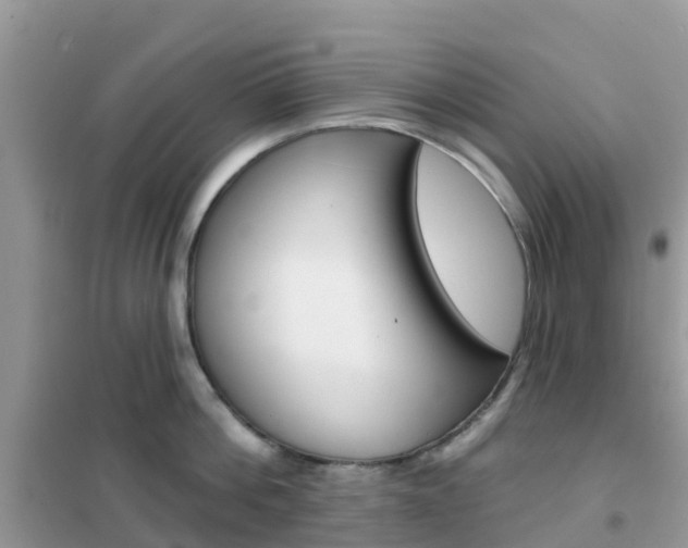 X0000102360812200808010958