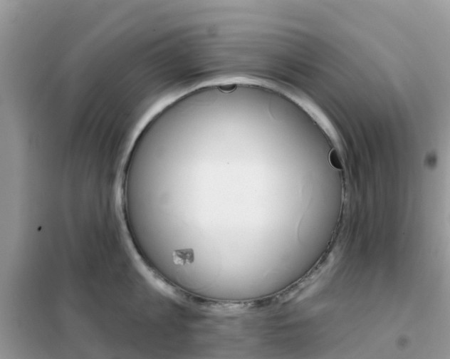 X0000102360813200808010958