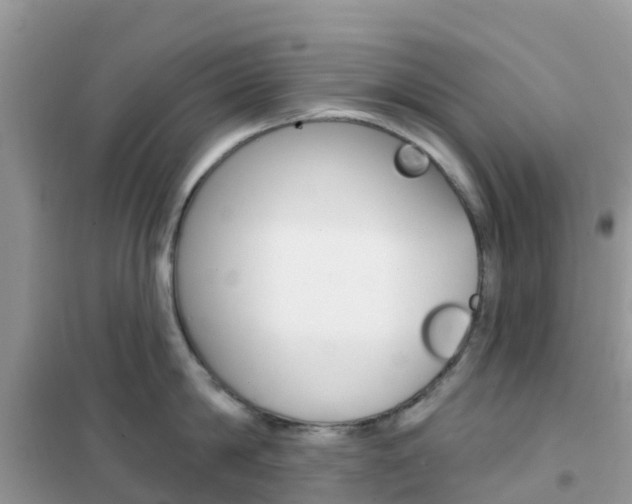 X0000102360814200808010958