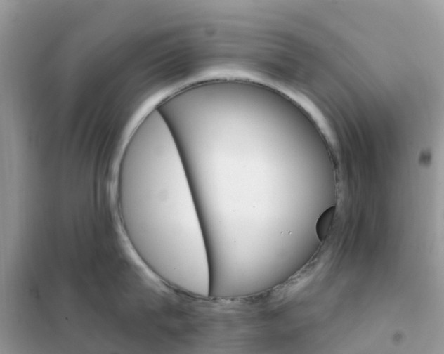 X0000102360815200808010958