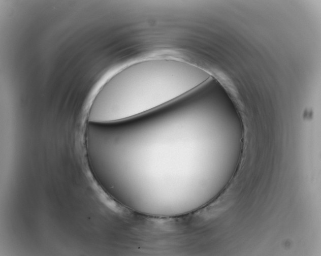 X0000102360816200808010958