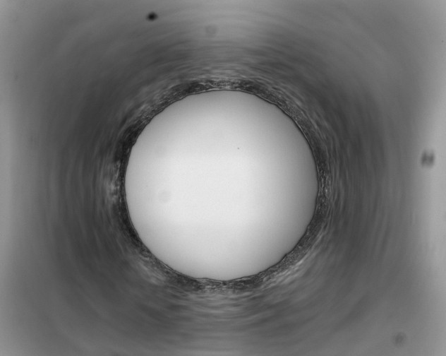 X0000102360818200808010957