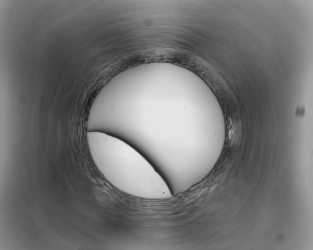 X0000102360819200808010957