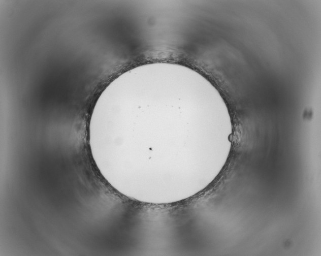 X0000102360820200808010957