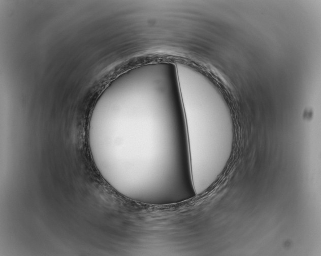 X0000102360821200808010957