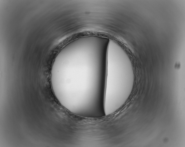 X0000102360822200808010957