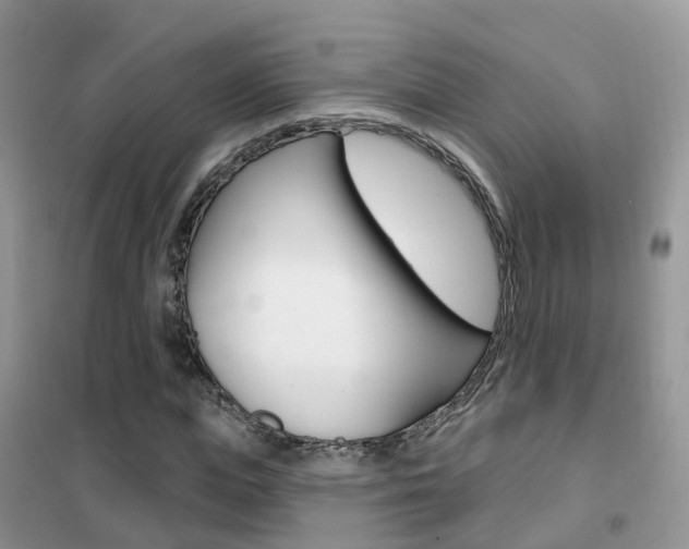 X0000102360823200808010957