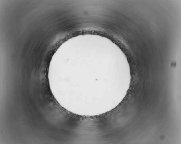 X0000102360824200808010957
