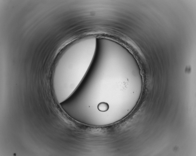 X0000102360826200808010957