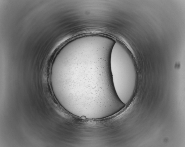 X0000102360827200808010957