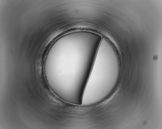 X0000102360829200808010957