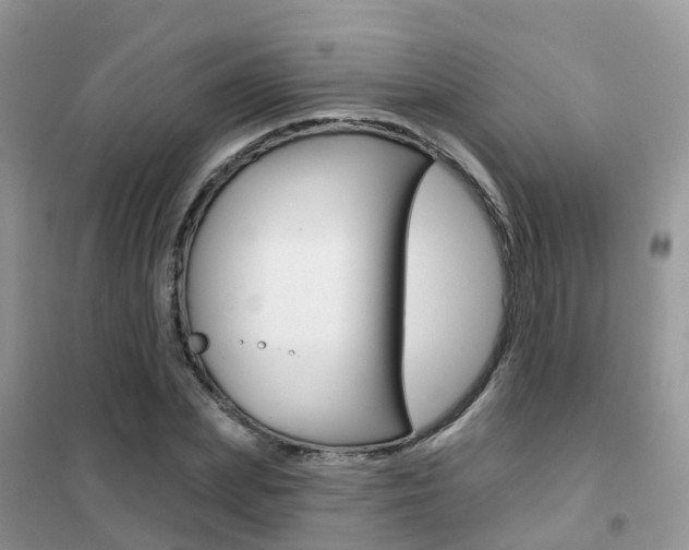 X0000102360831200808010957