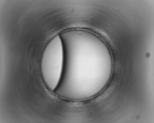 X0000102360833200808010957
