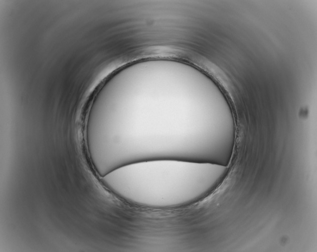X0000102360835200808010957