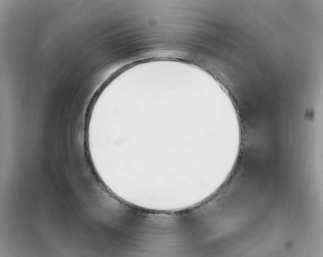 X0000102360836200808010957