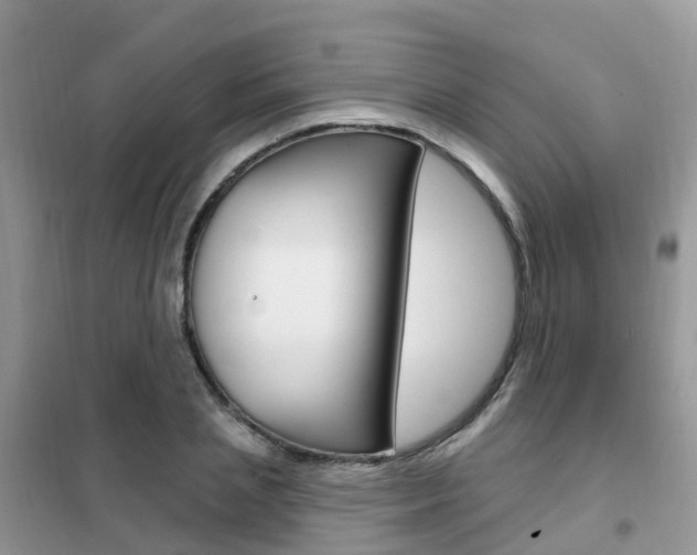 X0000102360837200808010957