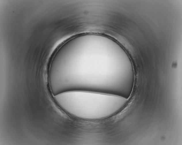 X0000102360838200808010957