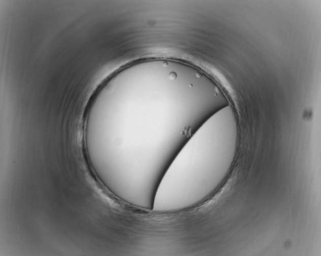 X0000102360839200808010957