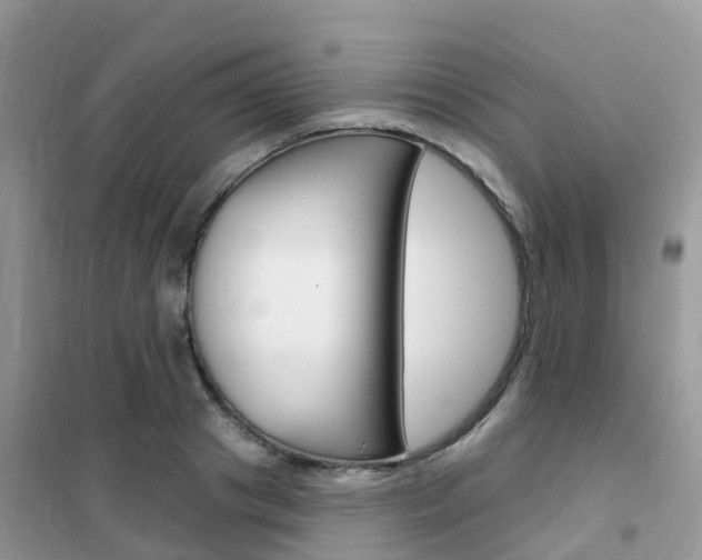 X0000102360841200808010957