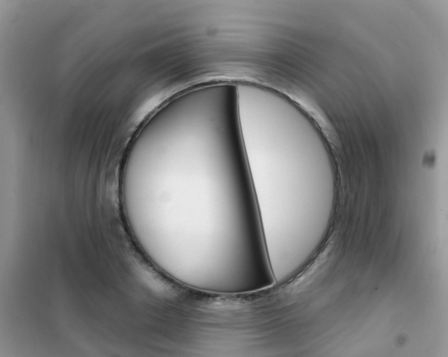 X0000102360842200808010957