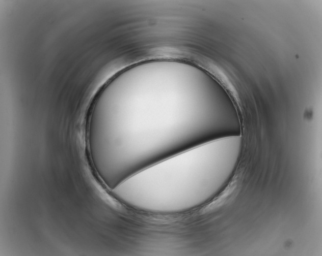 X0000102360843200808010957