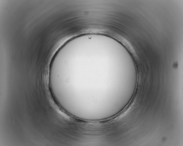 X0000102360844200808010957