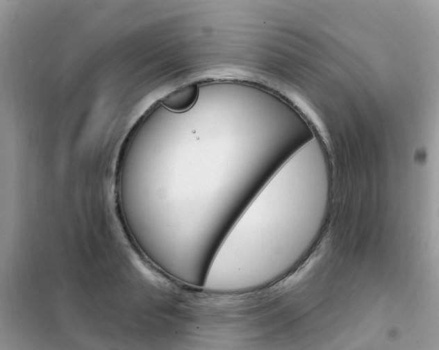 X0000102360845200808010957