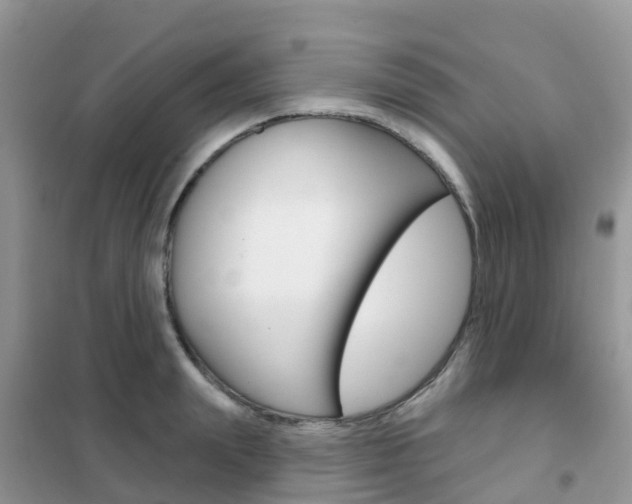 X0000102360847200808010957