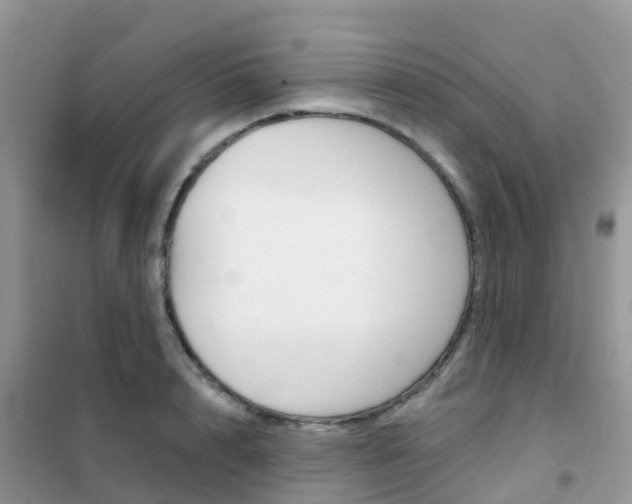 X0000102360848200808010957
