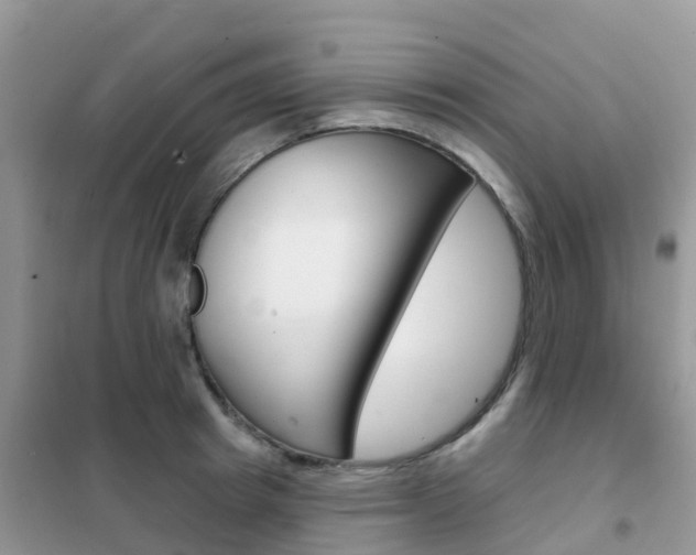 X0000102360849200808010957