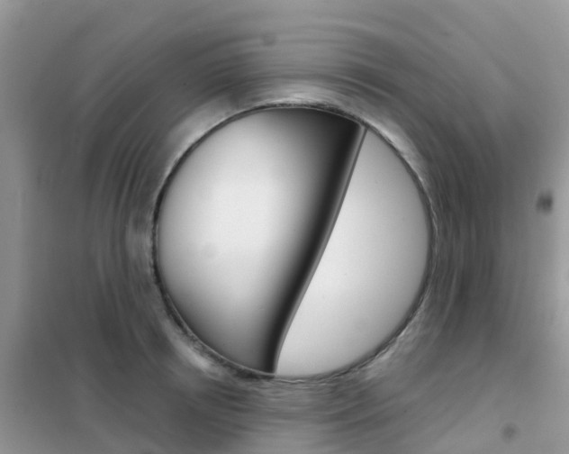 X0000102360850200808010957